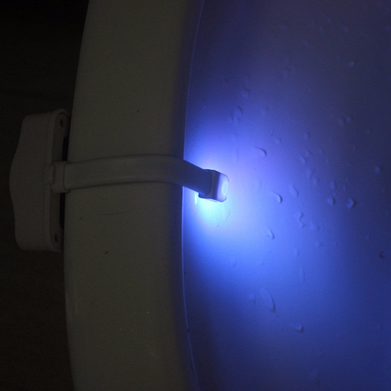 Toilet Light