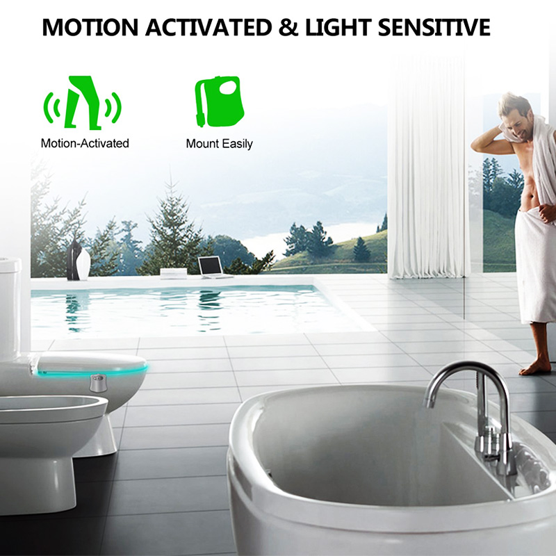 Toilet Light