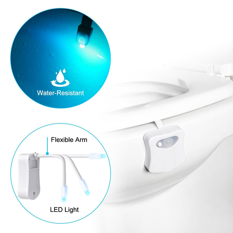 Toilet Light