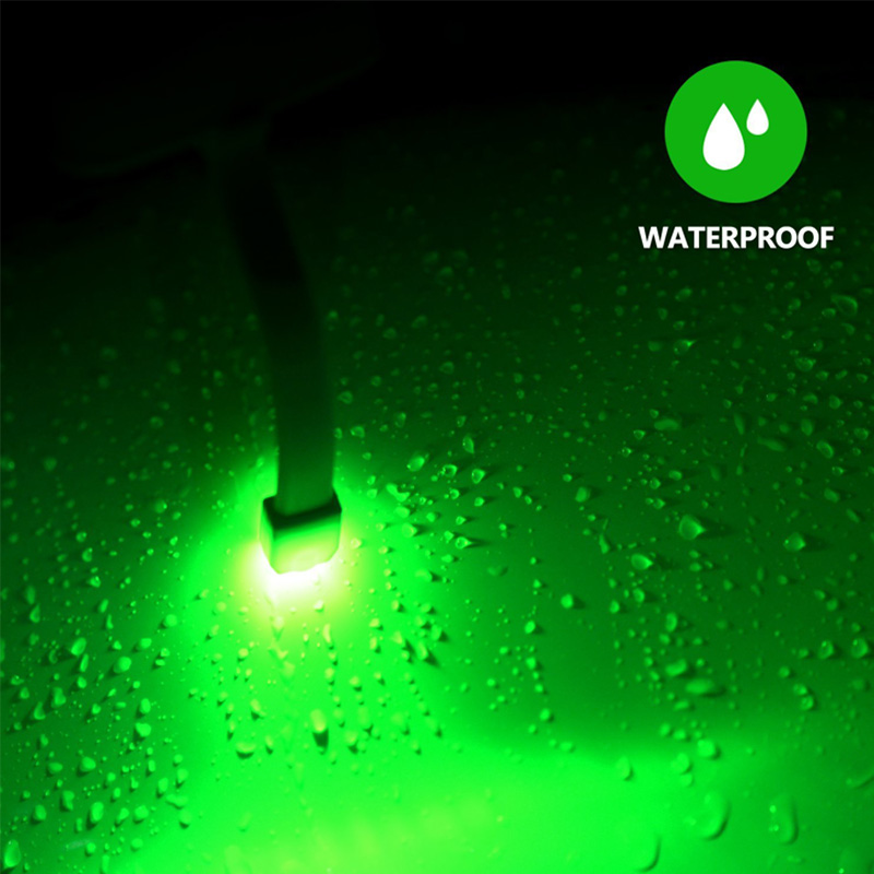 Toilet Light